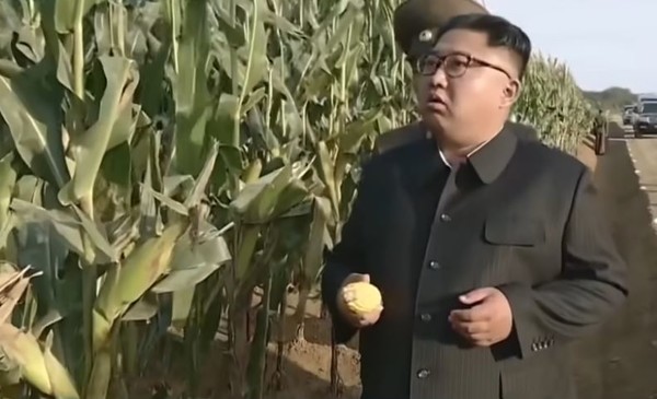 김정은 북한 국무위원장이 협동농장에서 옥수수를 살피고 있다. (사진=유튜브 캡처) 