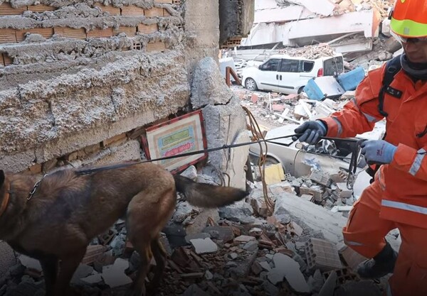 튀르키예와 시리아에서 지진으로 인한 사망자가 4만 6000명을 넘어선 가운데 구조 작업이 대부분 종료된 것으로 알려졌다. (사진=유튜브 캡처)