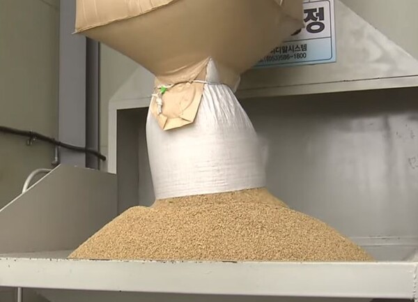 정부가 쌀 수급 조절을 위해 올해 벼 재배 면적을 지난해보다 3만 7000ha 감축하는 방안을 추진한다. (사진=유튜브 캡처)