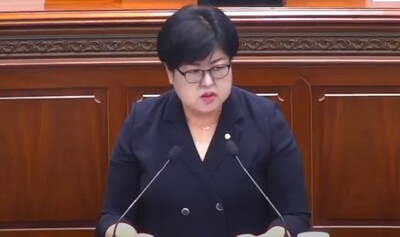 창원시의회 김미나 의원 (사진=MBC경남 뉴스 캡쳐)