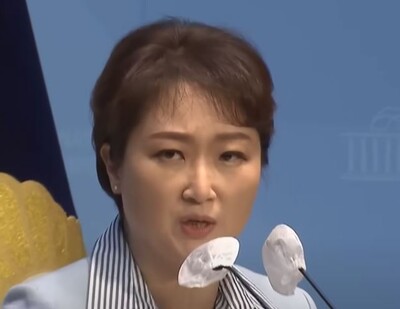 더불어민주당 이언주 전 의원 (사진=MBC뉴스 캡쳐)